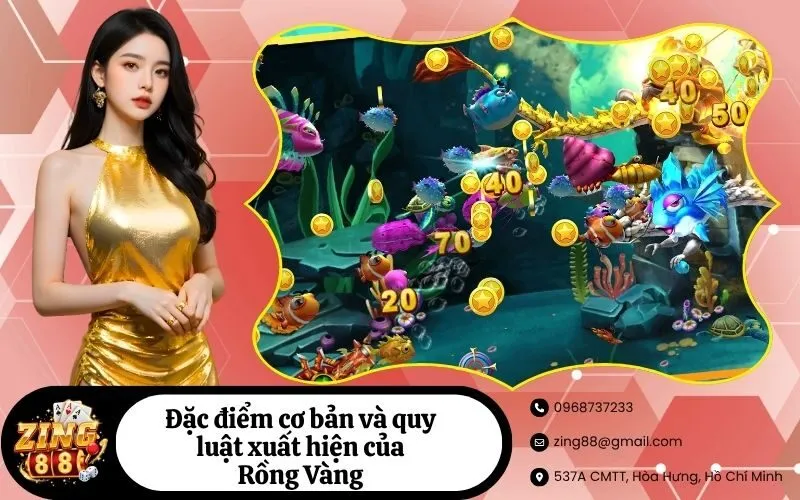 Đặc điểm cơ bản và quy luật xuất hiện của Rồng Vàng